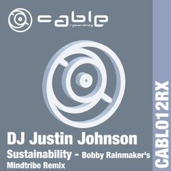 Sustainability (Bobby Rainmaker Remix)