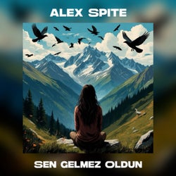 Sen Gelmez Oldun