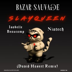 Slayqueen (David Hasert Remix) - David Hasert Remix