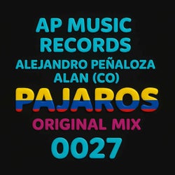 Pajaros (Original Mix)