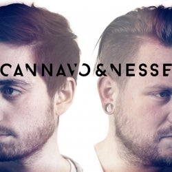 CANNAVO & NESSE / / Apollo Chart