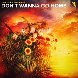 Don't Wanna Go Home (Extended Mix)