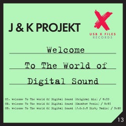 Welcome To The World Of Digital Sound