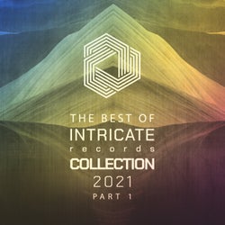 The Best of Intricate 2021 Collection, Pt. 1