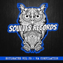 Soulmates, Vol. 28