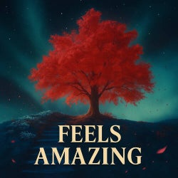 Feels Amazing