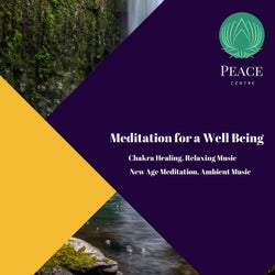 Meditation For A Well Being (Chakra Healing, Relaxing Music, New Age Meditation, Ambient Music)