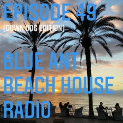 #49 Blue Ant Beach House Radio (DOWNWARD DOG)