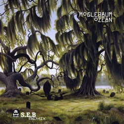 Ozean (S.E.B Remix)