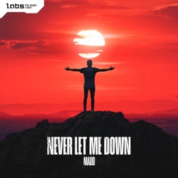 Never Let Me Down - Pro Mix