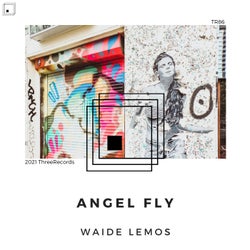 Angel Fly