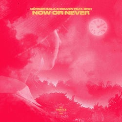 Now or Never (feat. 3RIN)