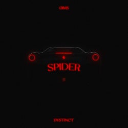 SPIDER