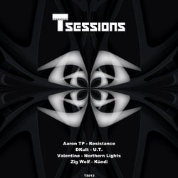 T Sessions 13