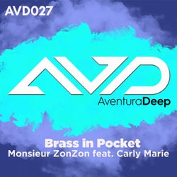 Brass in Pocket (feat. Carly Marie) [Pat The Cat Mix]