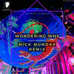 Wondering Why (Nick Munday Remix)