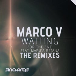 Waiting (For The End) (The Remixes)