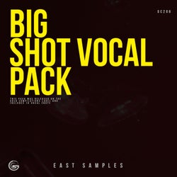 Big Vocal Shots Pack