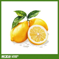 Lemon Slice