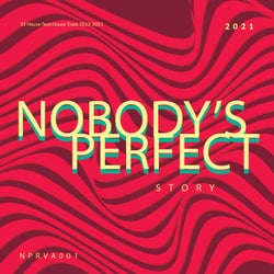Nobody's Perfect Story