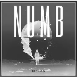 NUMB Remixes (Dark Edition)