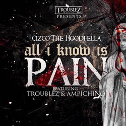 All I know is pain (feat. Troublez & Ampichino)