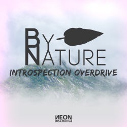 By Nature: Introspection Overdrive