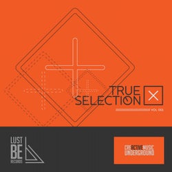 True Selection, Vol. 1