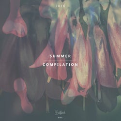 Bullfinch Summer Compilation 2016
