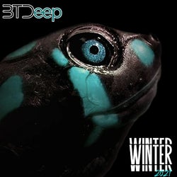 Happy New Year | Btdeep Winter 2021