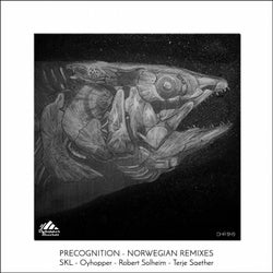Precognition, Norwegian Remixes