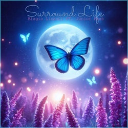 Surround Life