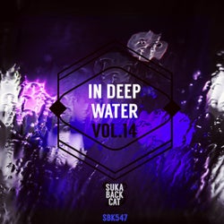In Deep Water Vol.14