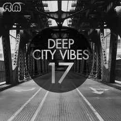 Deep City Vibes, Vol. 17