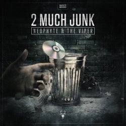 2 Much Junk - Extended Version