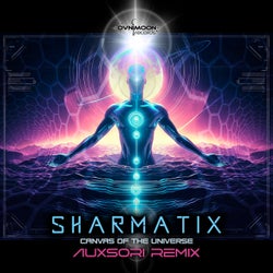 Canvas of the Universe (Auxsori Remix)