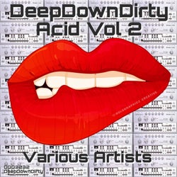 DeepDownDirty Acid, Vol. 2