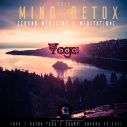 Mind Detox (Sound Medicine & Meditation), Vol.3