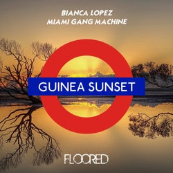 Guinea Sunset