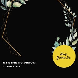 Synthetic Vision