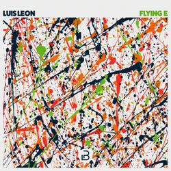 Flying E