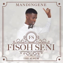 Mandingene