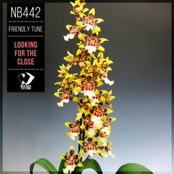 Looking for the Close