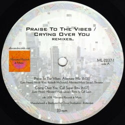 Praise to the Vibes / Crying Over You (Remixes)