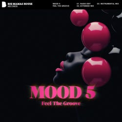 Feel The Groove