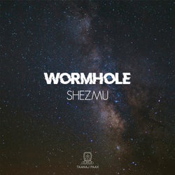 Wormhole