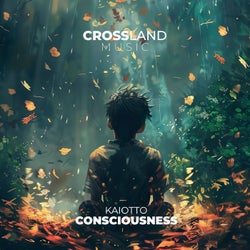 Consciousness