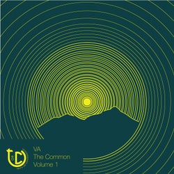The Common, Vol. 1