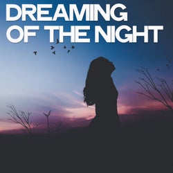 Dreaming of the Night (25 Lounge Criminals Traxx)