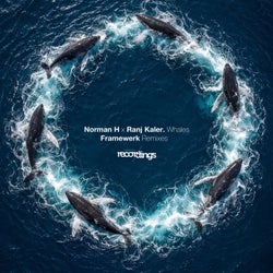 Whales: Framewerk Remixes